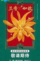 兰香如故全剧在线播放
